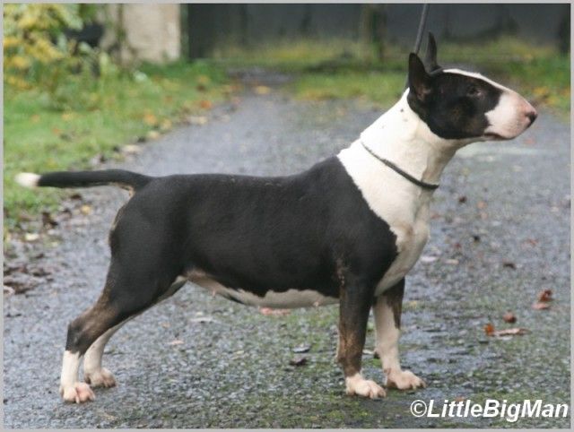 Urkhan Of the little big man